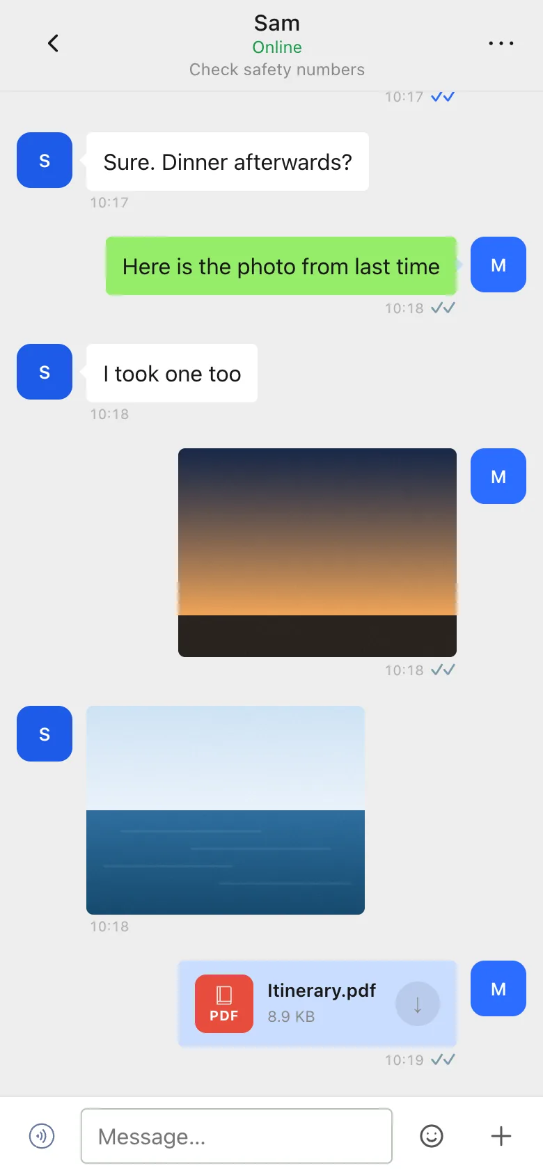 Chat screen with a photo and a PDF file being sent