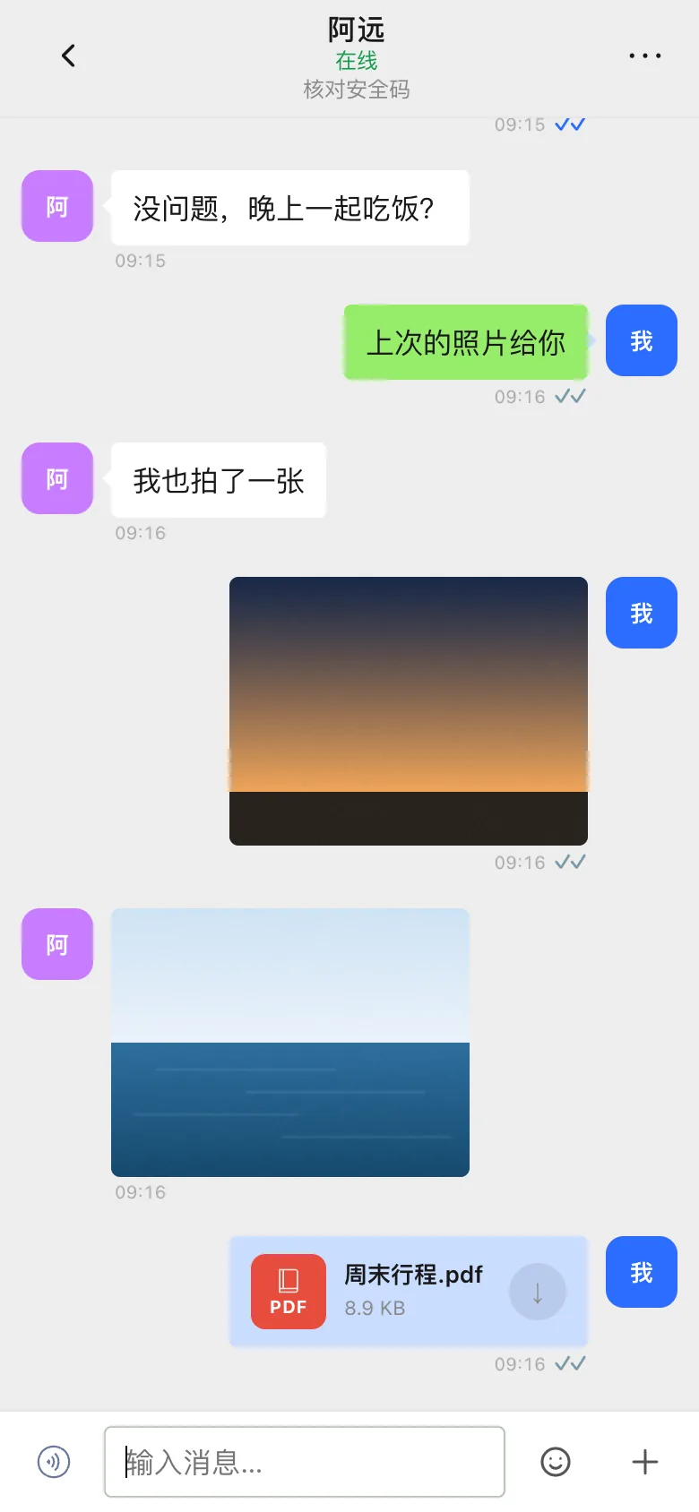 发送照片和 PDF 文件的聊天页面